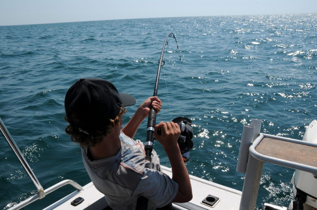 Las 5 MEJORES excursiones de pesca en Cabo: calendario y precios
