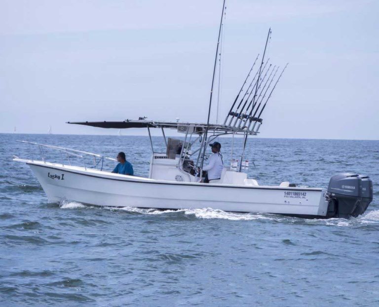 9 Best Puerto Vallarta Fishing Charters: Calendar & Prices [2024]