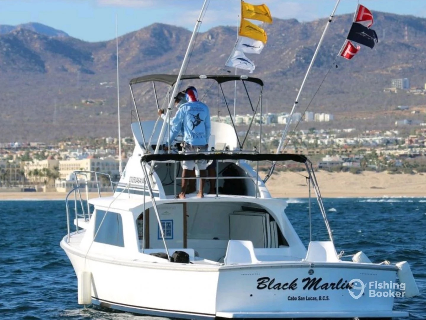 5 BEST Cabo Fishing Charters: Calendar & Prices [2024]